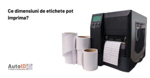 Ce Dimensiuni De Etichete Pot Imprima?